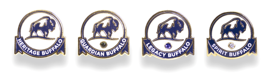 Buffalo Pins Cropped